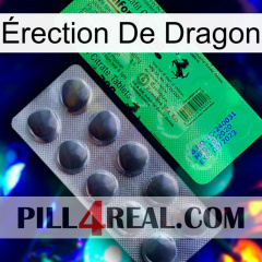 Érection De Dragon new04